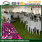 Dauerhaftes Spannen-Hochzeitsfest-Luxuszelt 20 x 75m des Aluminiumlegierungs-freien Raumes fournisseur