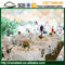 20 x 60m wirtschaftliches dauerhaftes Nigeria weißes Hochzeits-Zelt mit Glaswand fournisseur